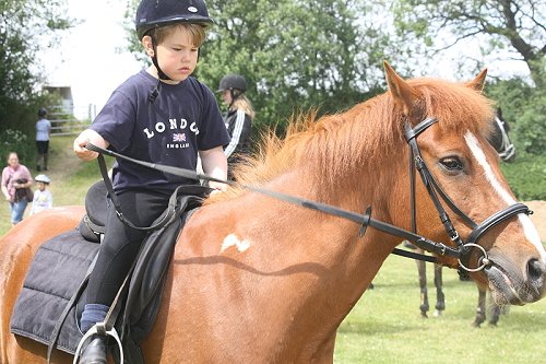 Kinderringreiten am 08. Juni 2013