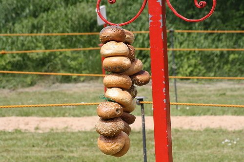 Kinderringreiten am 08. Juni 2013