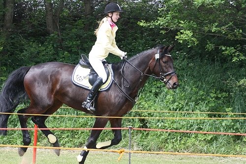 Kinderringreiten am 08. Juni 2013