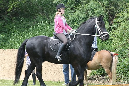 Kinderringreiten am 08. Juni 2013